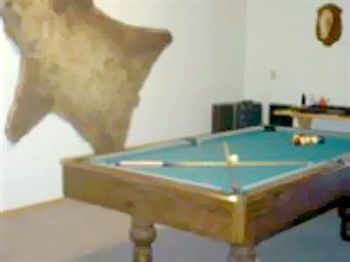 All Seasons B&B Kenai Zewnętrze zdjęcie